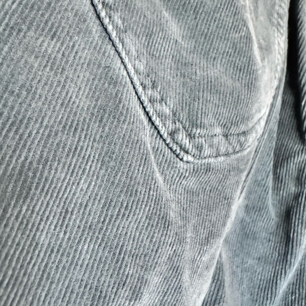 Wee the Free Corduroy Sun Chaser Blue Green Gray Pants - Picture 9 of 9
